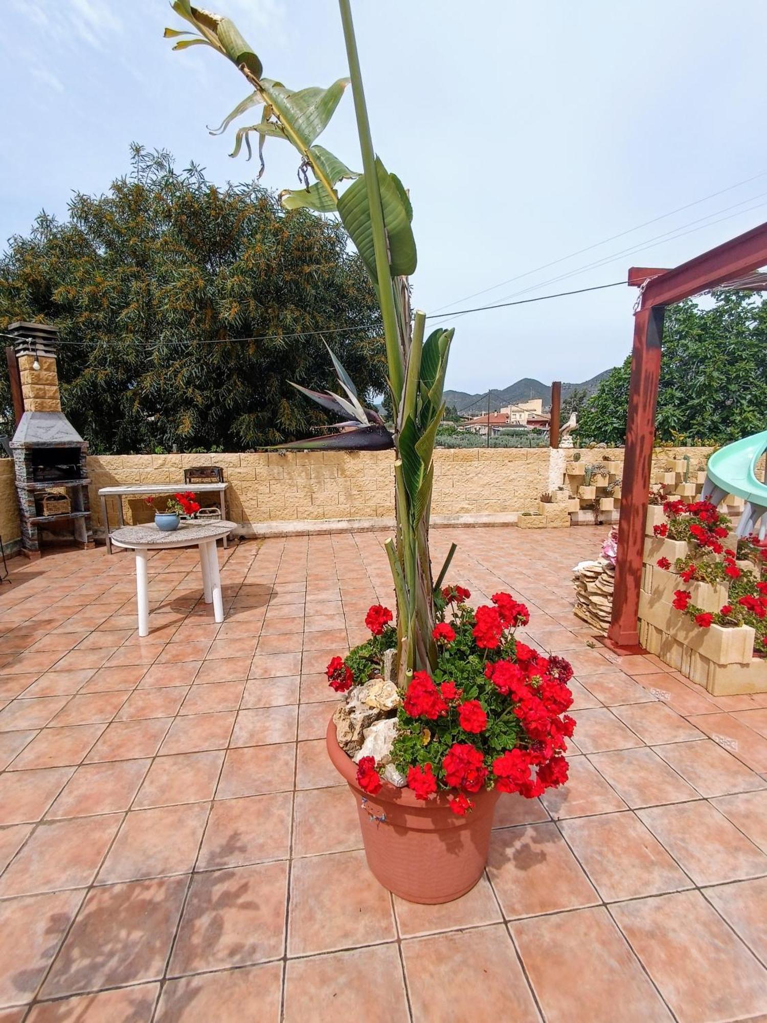 Casa Chalet Venta Ruizo Lorca  Exteriér fotografie