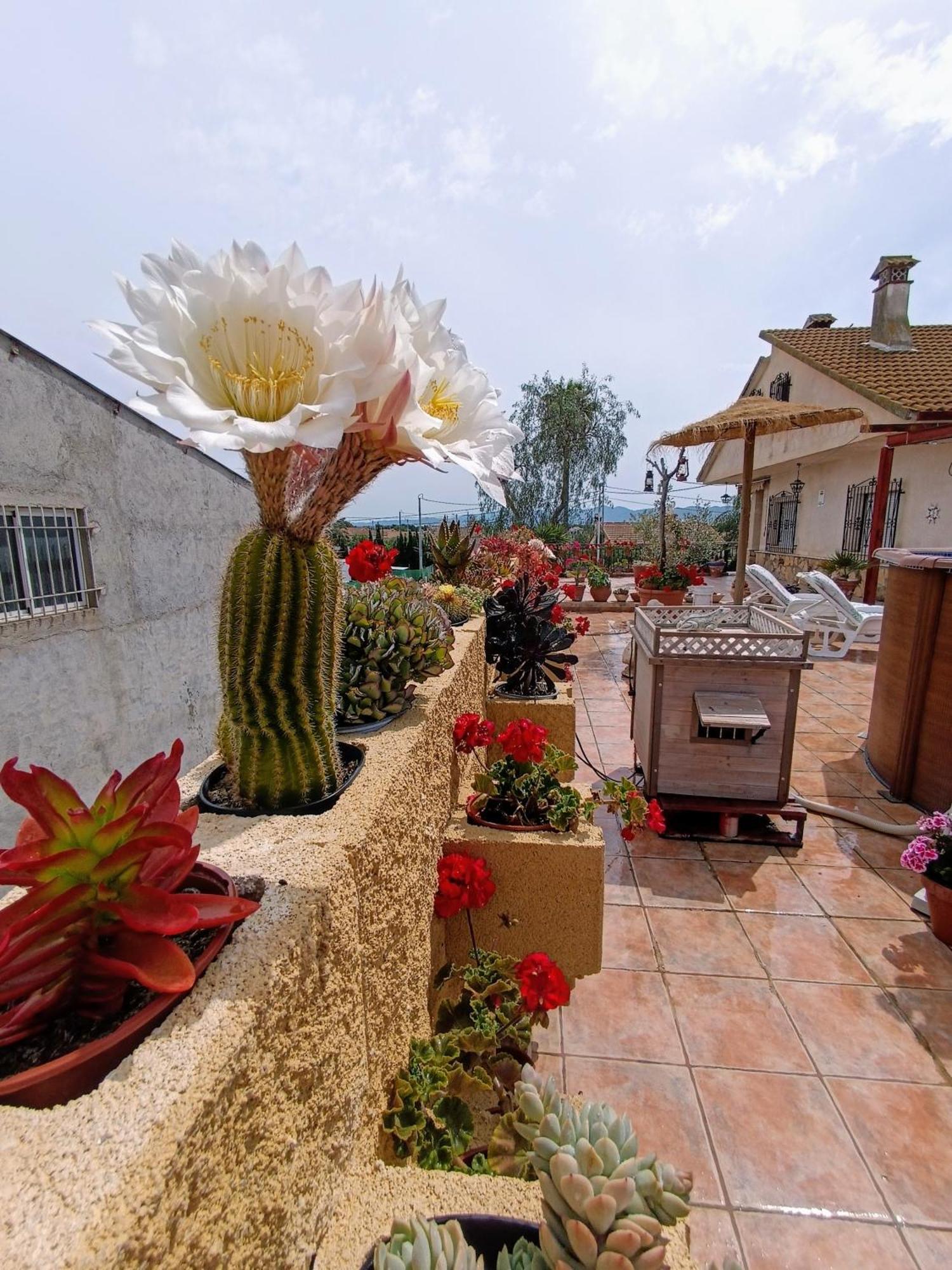 Casa Chalet Venta Ruizo Lorca  Exteriér fotografie